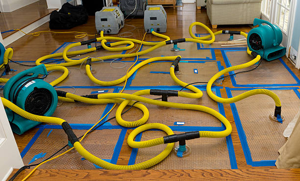 Professional Burst Pipe Water Damage technician working in Lakeview, CA